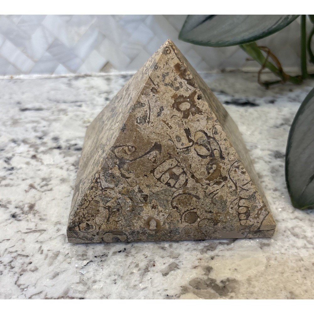 Pier One Fossil Stone Paperweight Pyramid  Chakra Feng Shui Architectural Office
